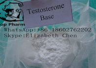 مسحوق التستوستيرون الخام قاعدة التستوستيرون CAS 58-22-0 98٪ مسحوق أبيض كمال الأجسام