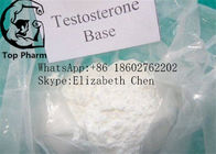 مسحوق التستوستيرون الخام قاعدة التستوستيرون CAS 58-22-0 98٪ مسحوق أبيض كمال الأجسام
